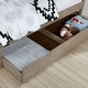 preview thumbnail 3 of 12, Furniture of America Lanister 2-Piece Wood Wire-Brushed Warm Grey Kids Panel Bed and Nightstand Set with Trundle