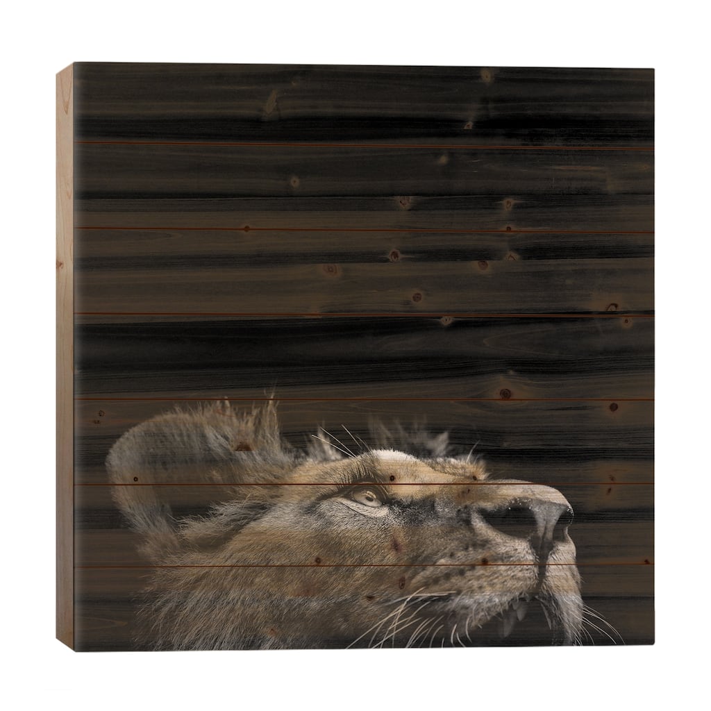 Lion In Black & White II Print On Wood by Lukas Holas - Multi-Color
