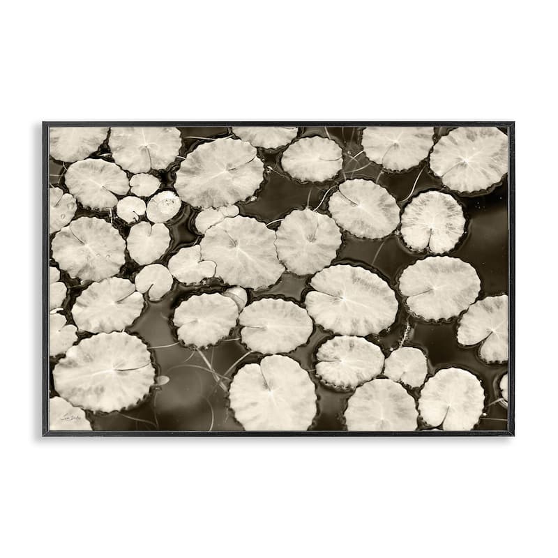 Stupell White Floating Lily Pads Framed Giclee Art Design By Lori Deiter - 18 x 12 - Black