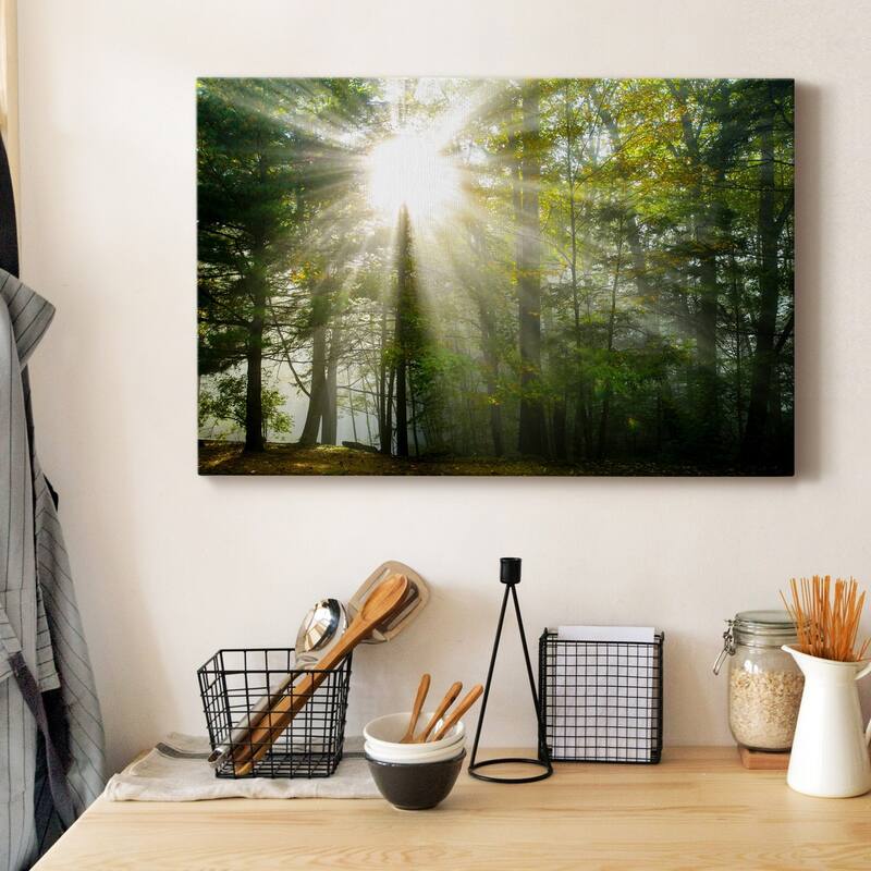 Light and Trees II Premium Gallery Wrapped Canvas - Ready to Hang