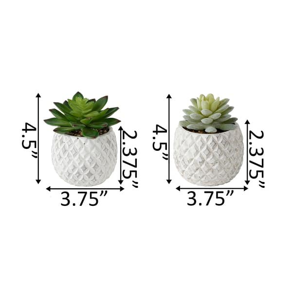 Flora Bunda Set OF 2 Pineapple Pot Succ