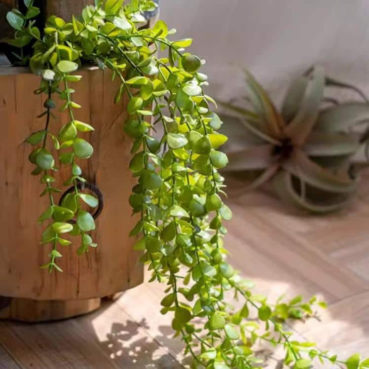 RusticReach Petite Foliage Weeping Fern Sprig