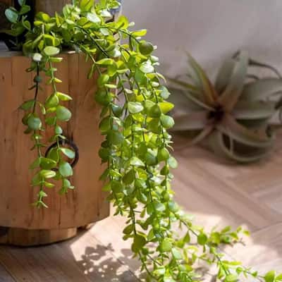 RusticReach Petite Foliage Weeping Fern Sprig
