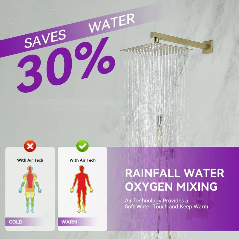 WIZ 2-Spray 10 in. Wall Mount Shower Head System Shower Faucet