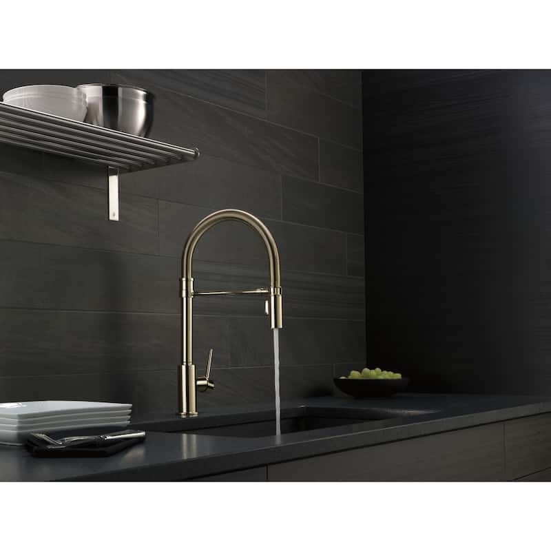 Delta Trinsic Pro Pre-Rinse Pull-Down Kitchen Faucet with Magnetic