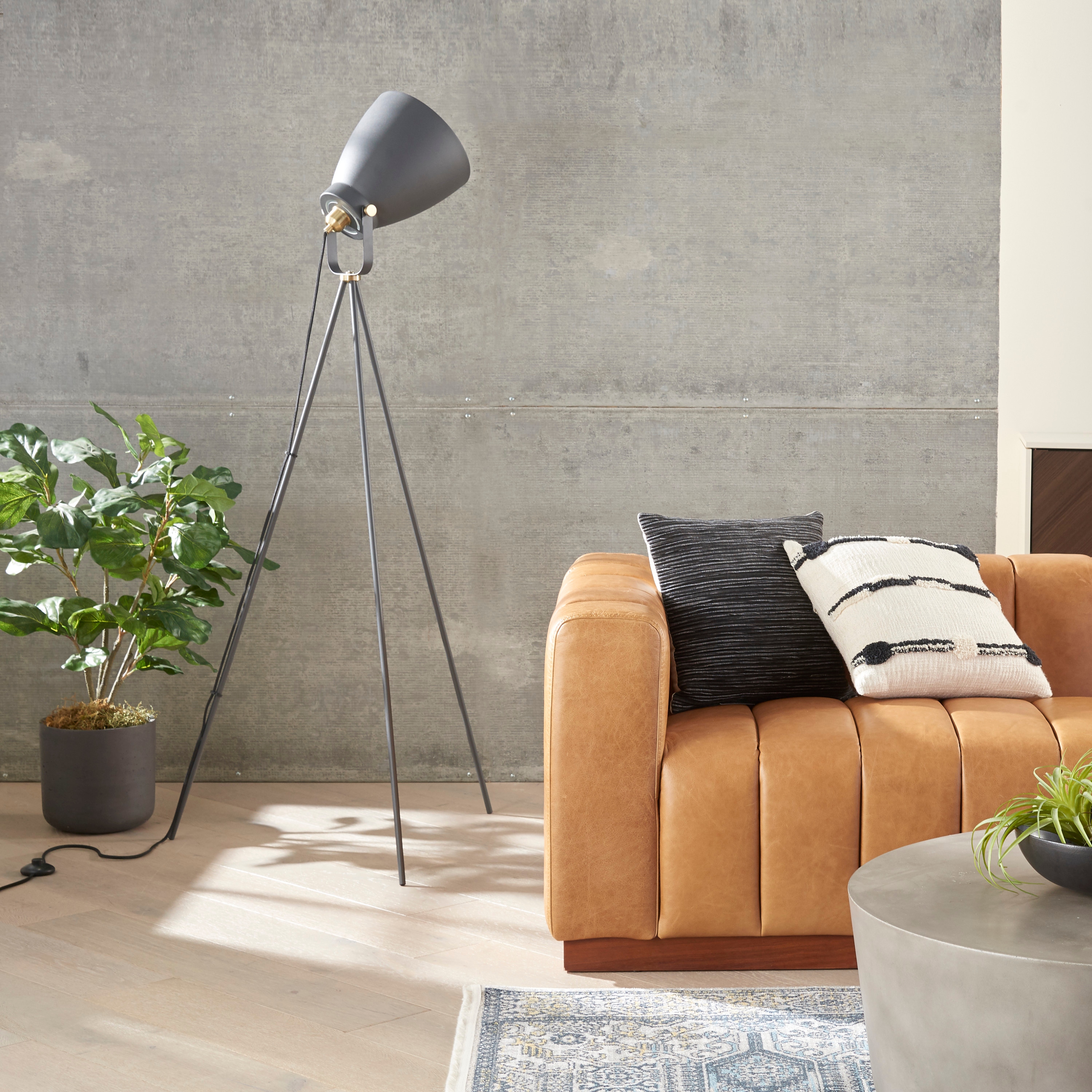 heated throw rug spotlight