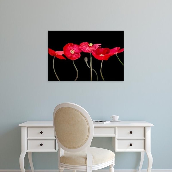 Easy Art Prints Sandra Iafrate's 'Dramatic Poppies' Premium Canvas Art