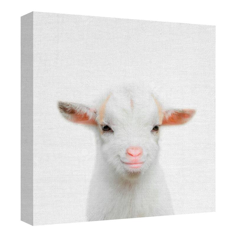 Baby Fox Square, Baby Goat, Baby Lion, Leopard by Tai Prints Canvas Art Prints