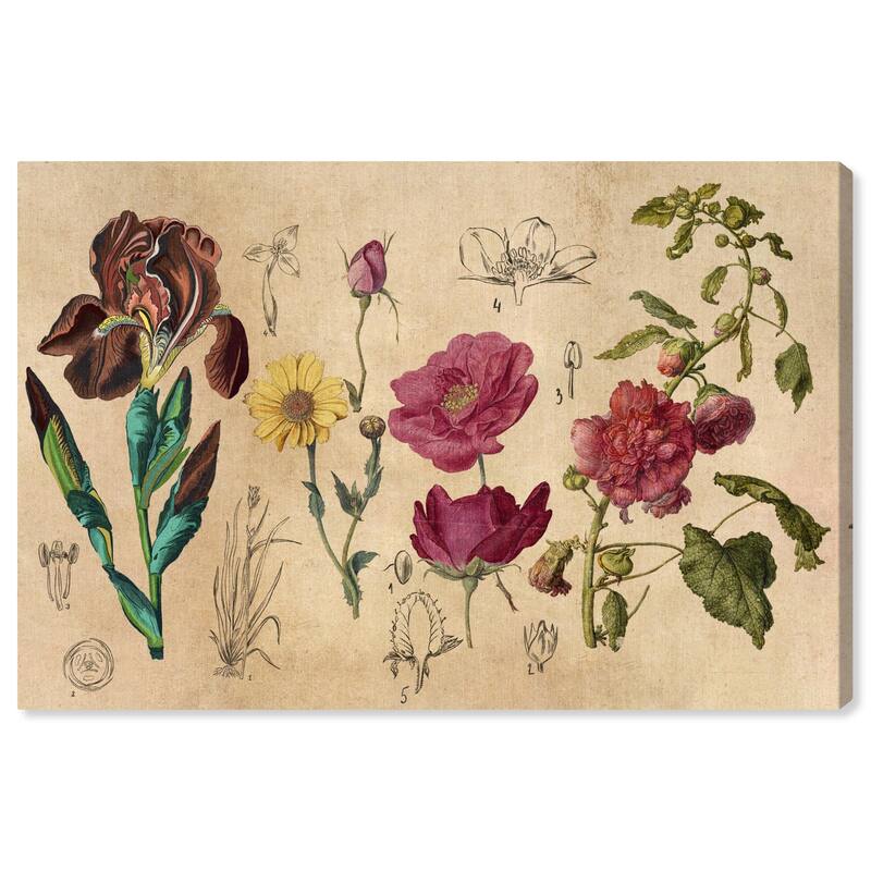 Blossoming Florals Canvas by Art Remedy, Gallery Wrapped - 24" x 16"