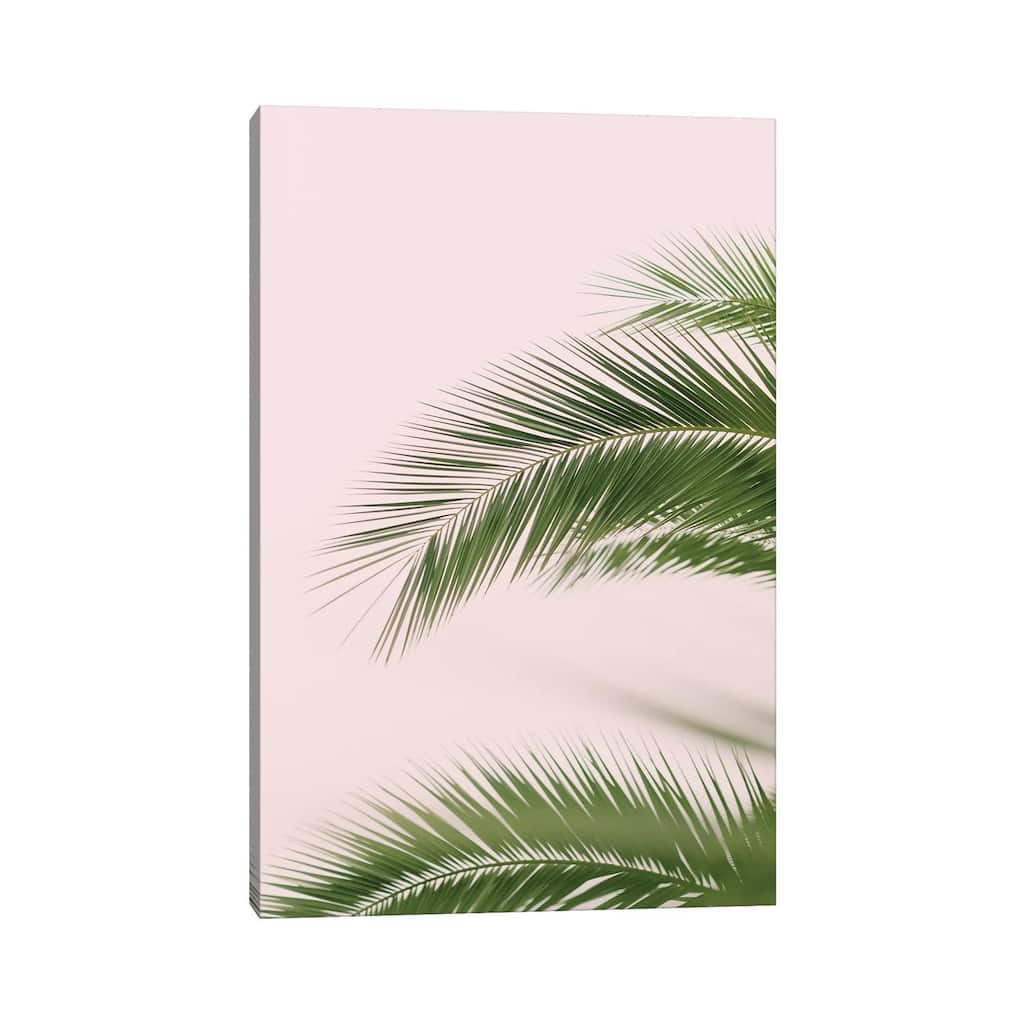 iCanvas "Pink And Green Palm Tree" by Ruby and B Canvas Print