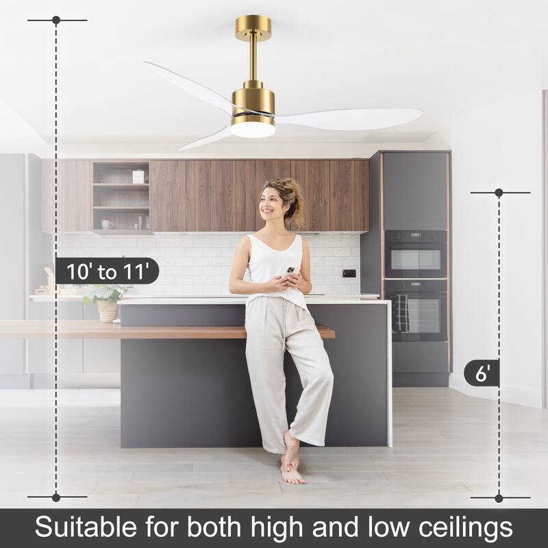52 Inch LED Ceiling Fan with Lights Remote(3-Blade)