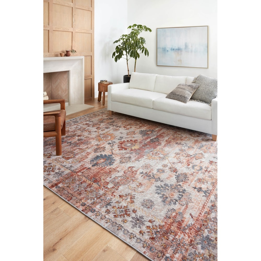Alexander Home Penelope Distressed Botanical Oriental Area Rug