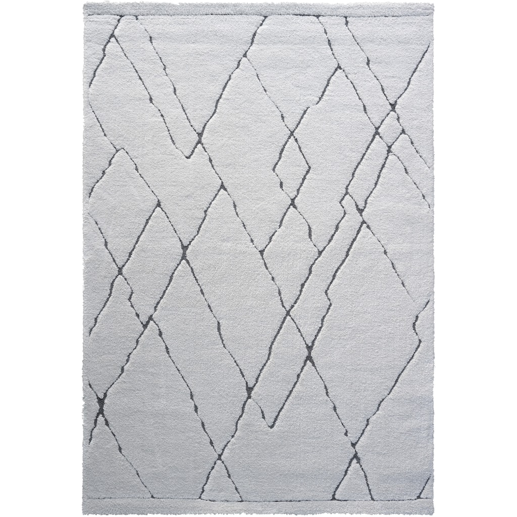 Nina Madison Ivory and Charcoal Recycled Polyester Area Rug - 6' x 9'