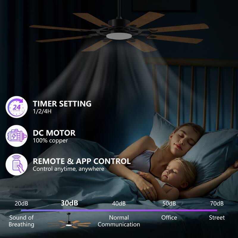 60 Inch Ceiling Fan with Lights and Remote Control, 8 Plywood Blades, 6-Speed Noiseless Reversible DC Motor, 3CCT - Black