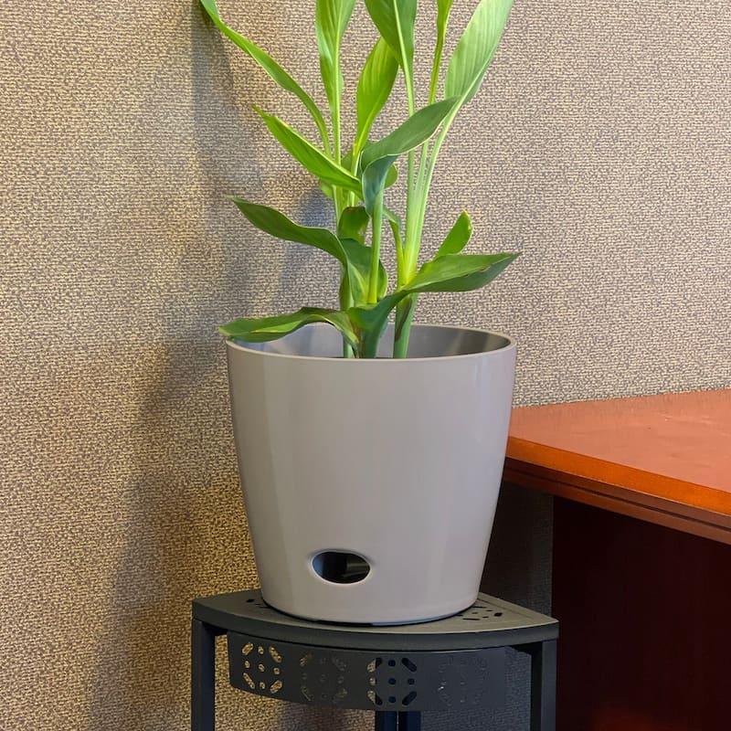 10" Round Self-Watering Indoor/Outdoor Bamboo Pot