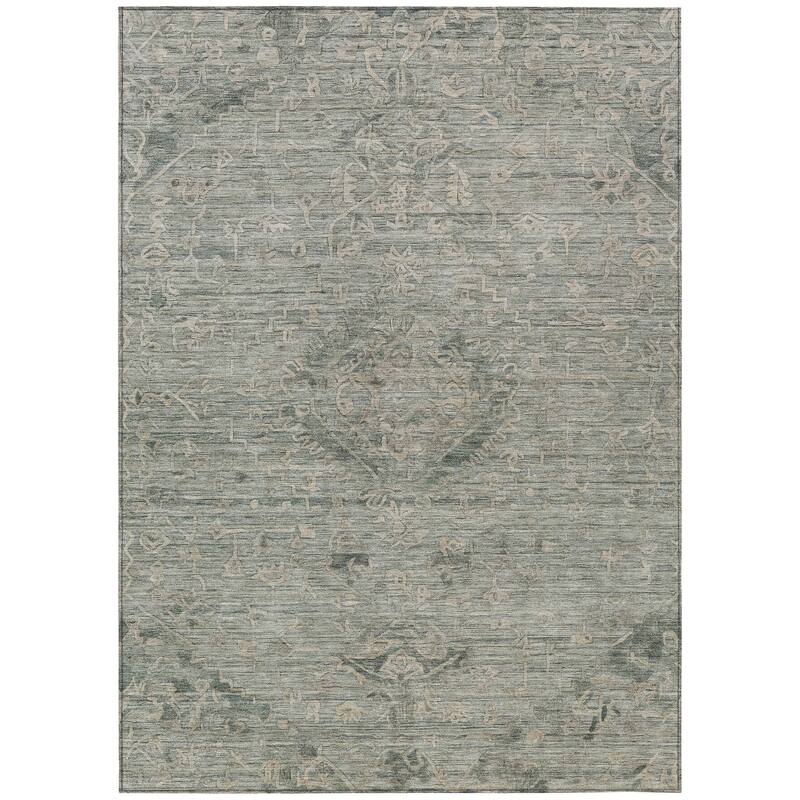 Machine Washable Indoor/ Outdoor Vintage Traditional Chantille Rug