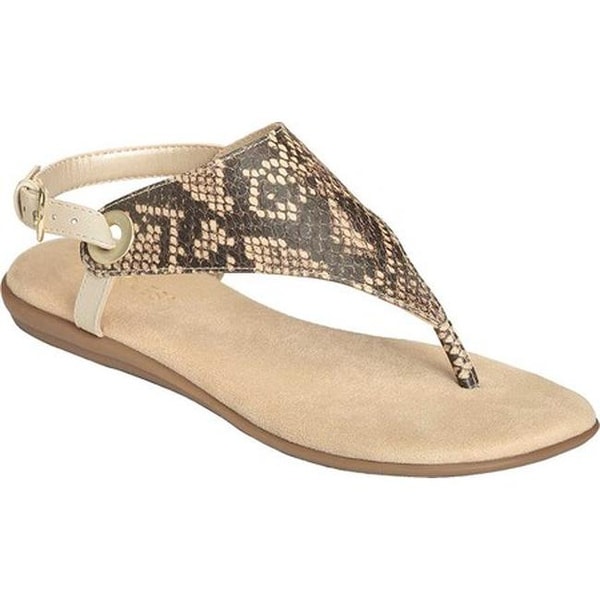 aerosoles conchlusion sandals