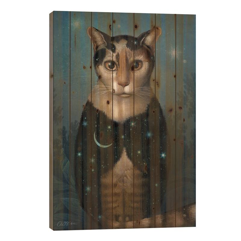 Midnight Cat Print On Wood by Catrin Welz-Stein - Multi-Color - 26x18x1.5