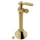 Option Polished Brass