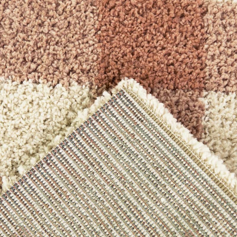 March Gingham Shag Area Rug