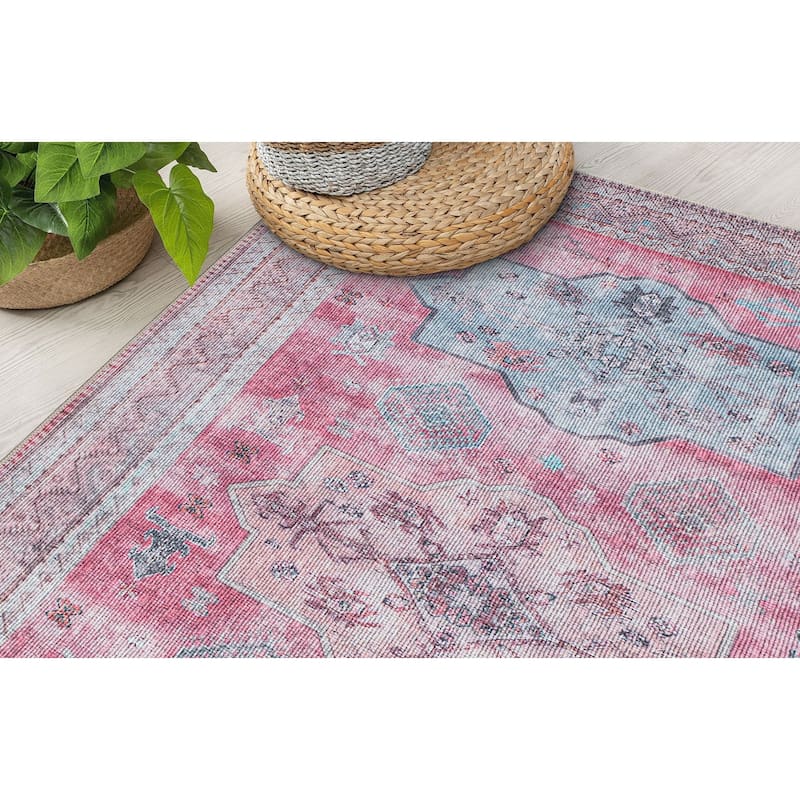 Distressed Transitional Bohemian Area Rug