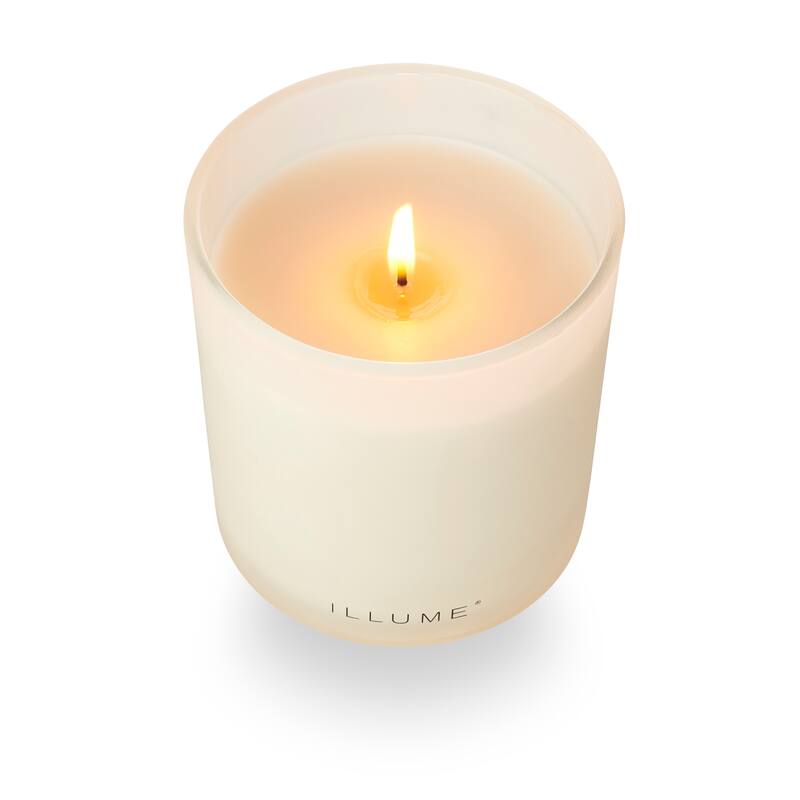 ILLUME Beautifully Done Driftwood Demi Vanity Tin Candle