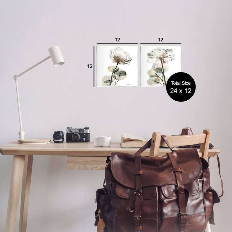 Stupell Cream Transparent Floral Wall Plaque Art Design By Albert Koetsier (Set of 2)