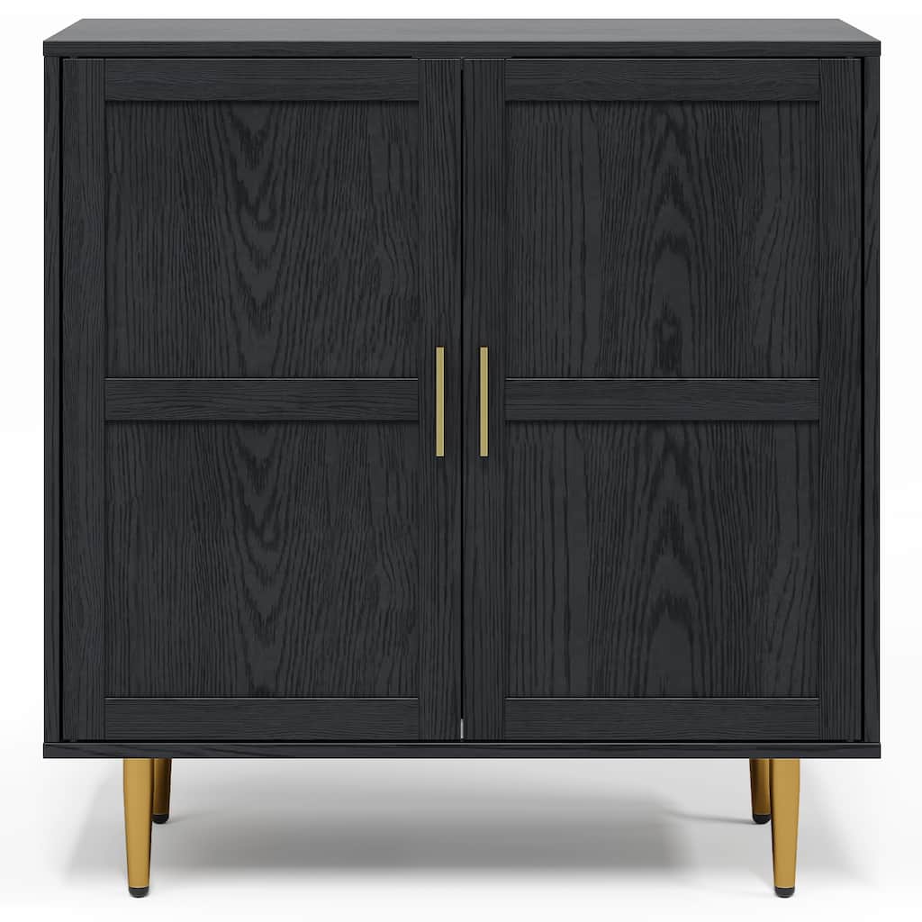 2-Door Storage Cabinet with Adjustable Shelves