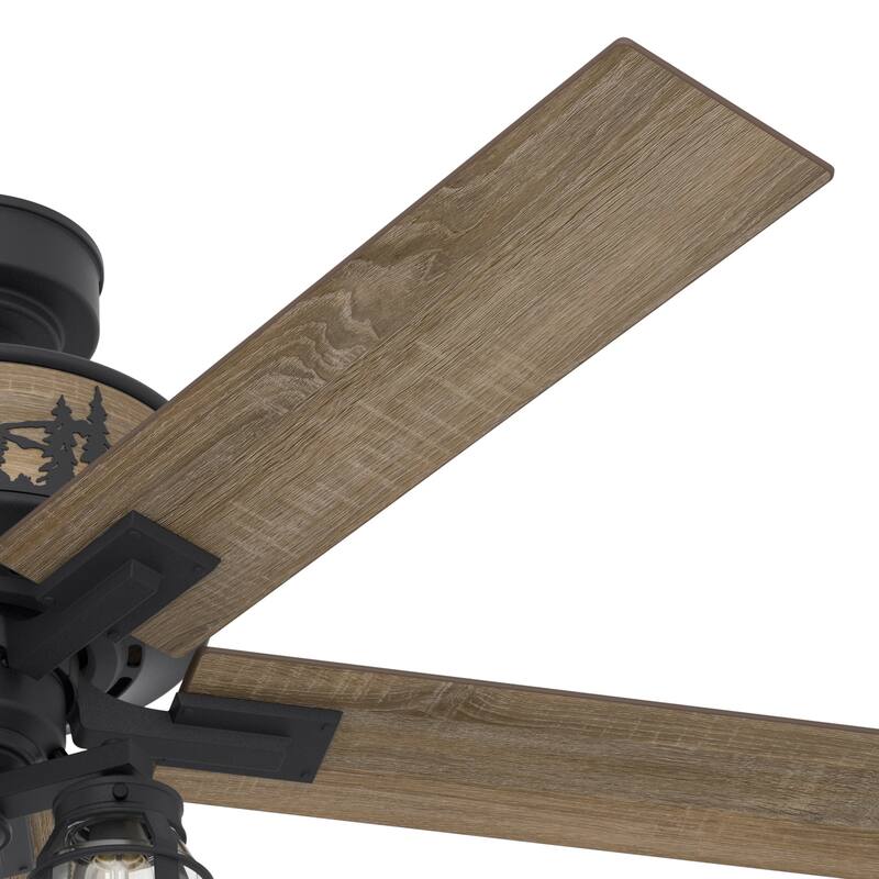 Hunter 52" Mt. Vista Ceiling Fan with LED Light and Pull Chain - Natural Iron