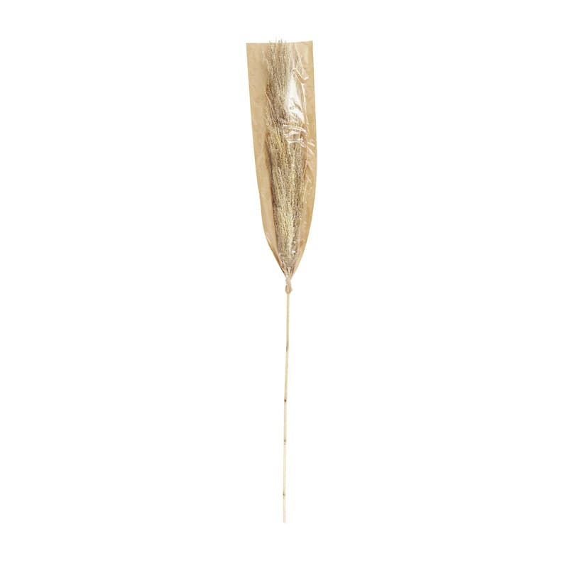 Dried Plant Pampas Grass Tall Home Decor Natural Foliage - Brown - Roche River Decor