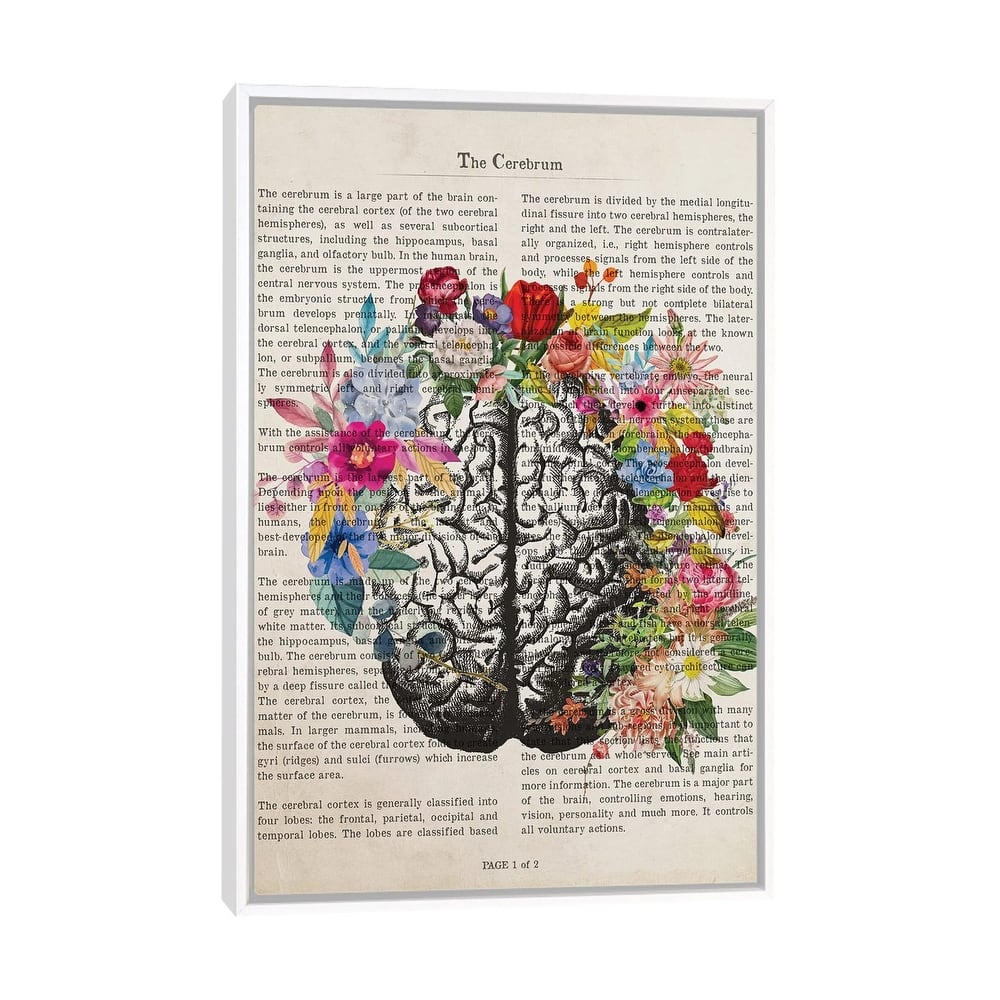 iCanvas "The Cerebrum" by Aged Pixel Framed Canvas Print