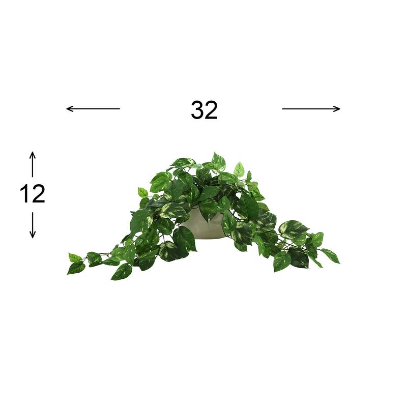 Pothos Arrangement in Ceramic Pot