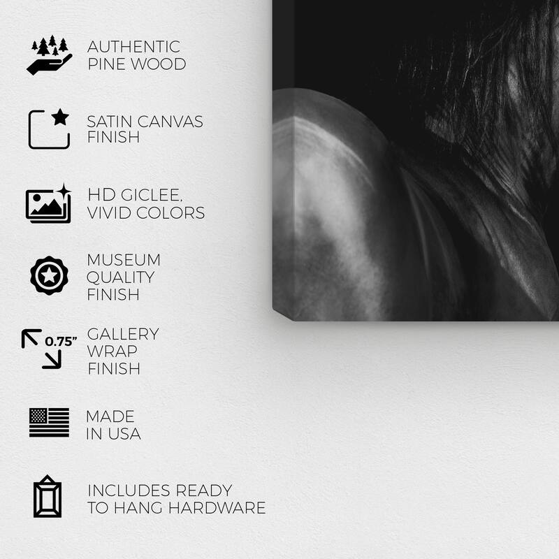 Wynwood Studio Canvas Animals Tender Look Black and Modern & Contemporary Wall Art Canvas Print