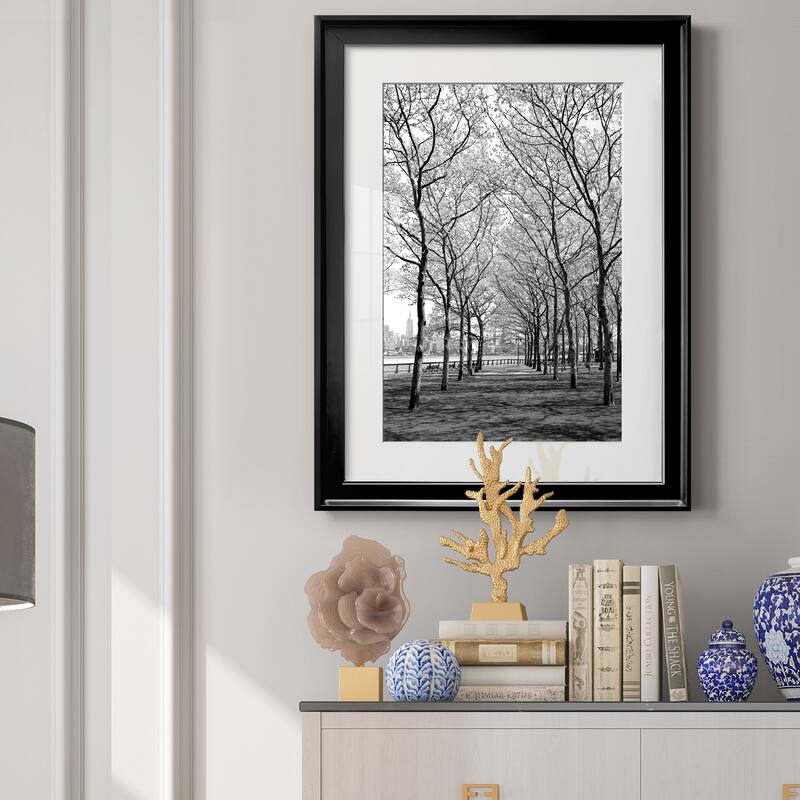 Pier a Park Premium Framed Print - Ready to Hang