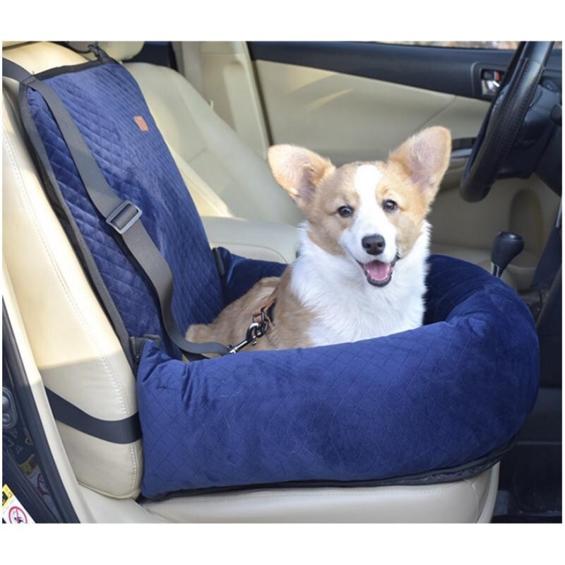 Bed bath and hot sale beyond dog car seat