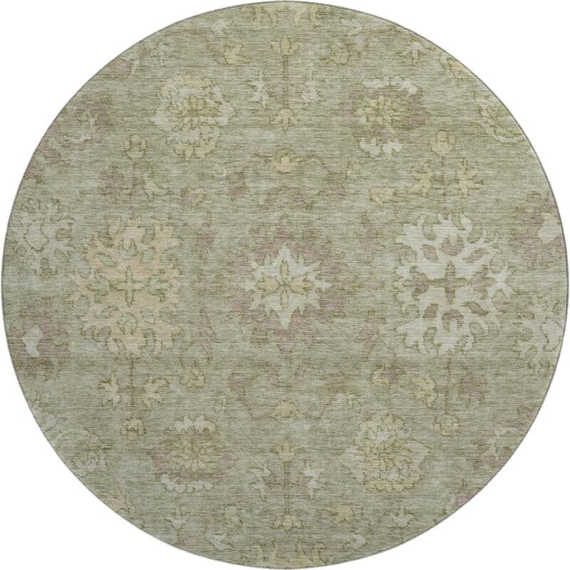 Premium Washable Super Soft Traditional Caply Mayfield Rug