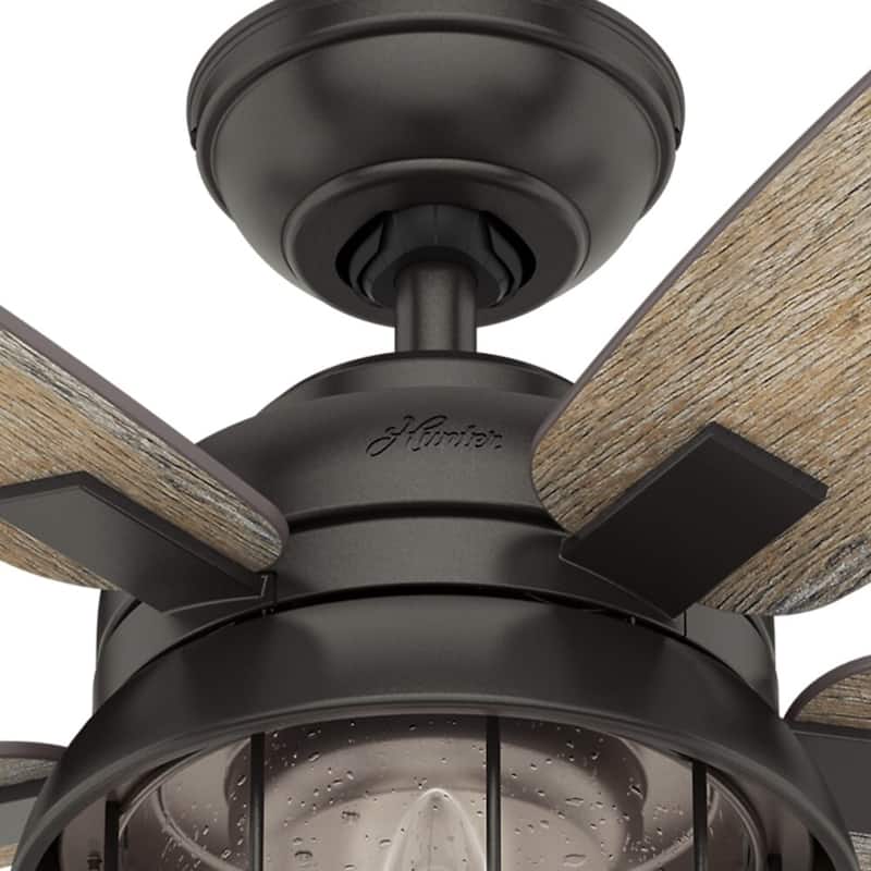Hunter 52" Coral Bay Outdoor Ceiling Fan with Light