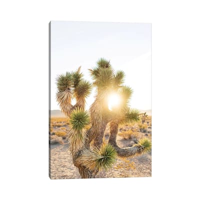 iCanvas "Joshua Tree Sunrise" by Bethany Young Canvas Print