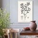 preview thumbnail 9 of 8, Antique Black & White Botanical-Premium Gallery Wrapped Canvas