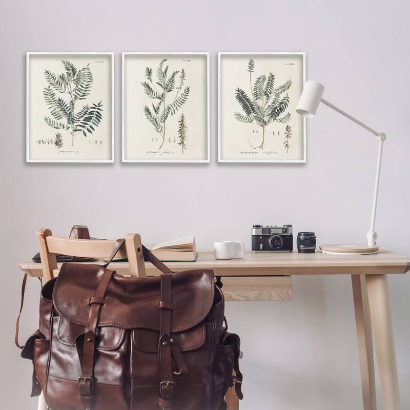 Stupell Green Botanical Latin Study Vintage Herb Motif Diagram Framed Wall Art - Beige