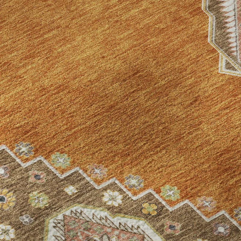 Premium Washable Super Soft Traditional Boho Mayfield Rug
