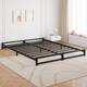 Option Black3