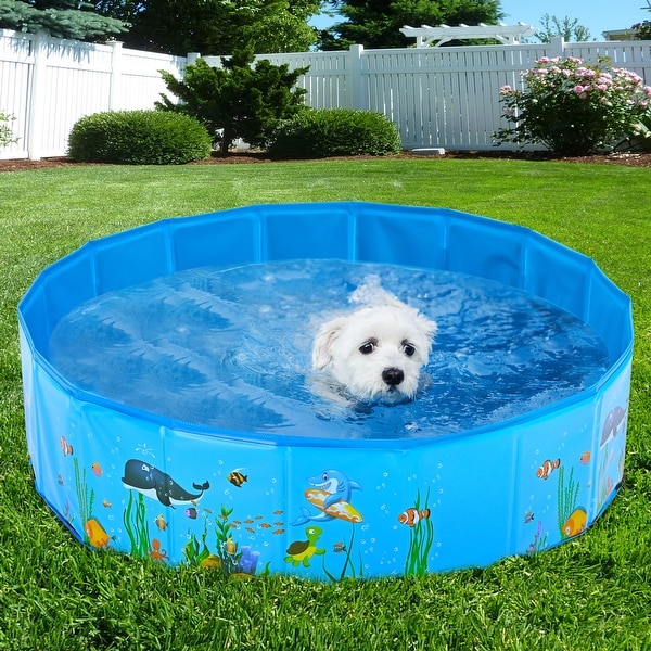 Portable paw shop pool