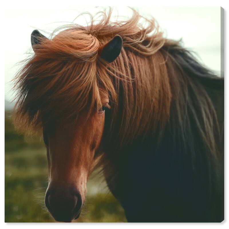 Wynwood Studio Canvas Animals Precious Dulzura Brown and Farmhouse Wall Art Canvas Print