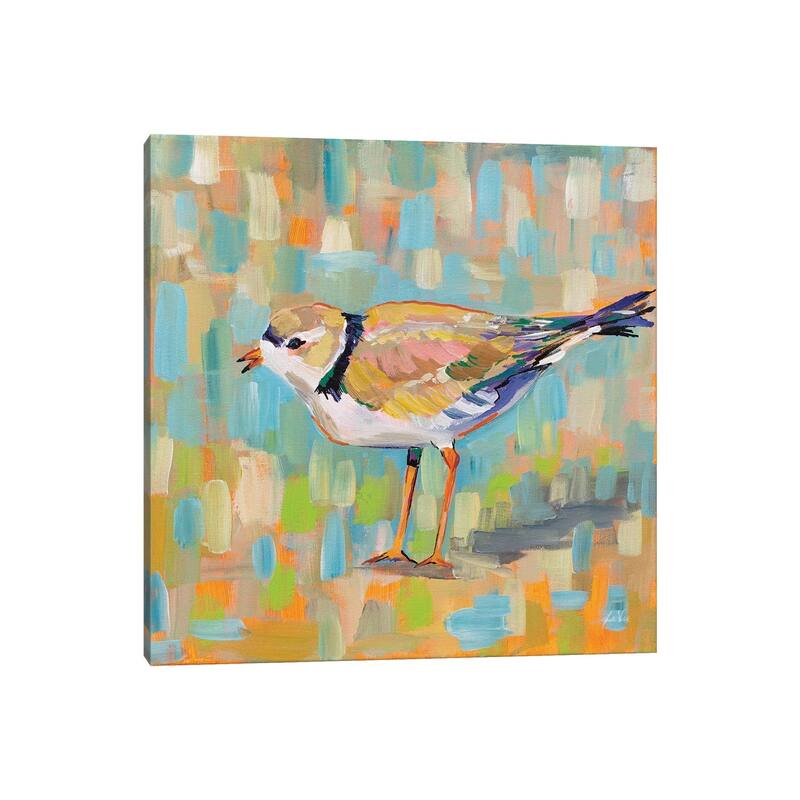 iCanvas "Coastal Plover IV" by Jeanette Vertentes Canvas Print