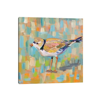 iCanvas "Coastal Plover IV" by Jeanette Vertentes Canvas Print