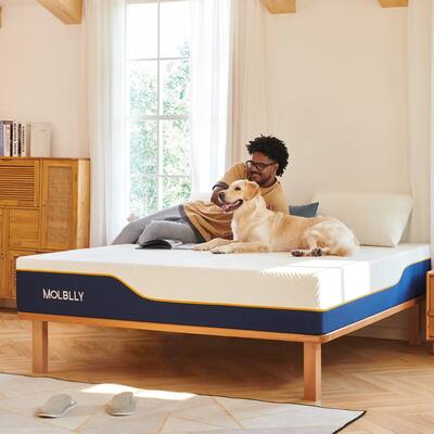 Molblly 12-Inch Memory Foam Mattress - Breathable Comfort Bed