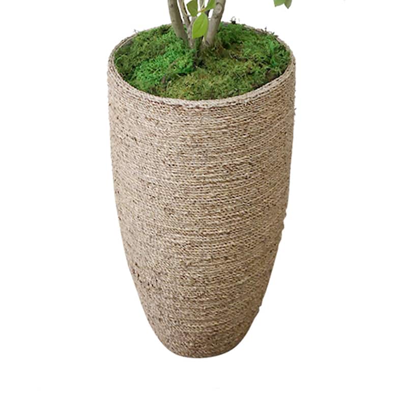 Bonsai Tree In Strawgrass Planter - 90