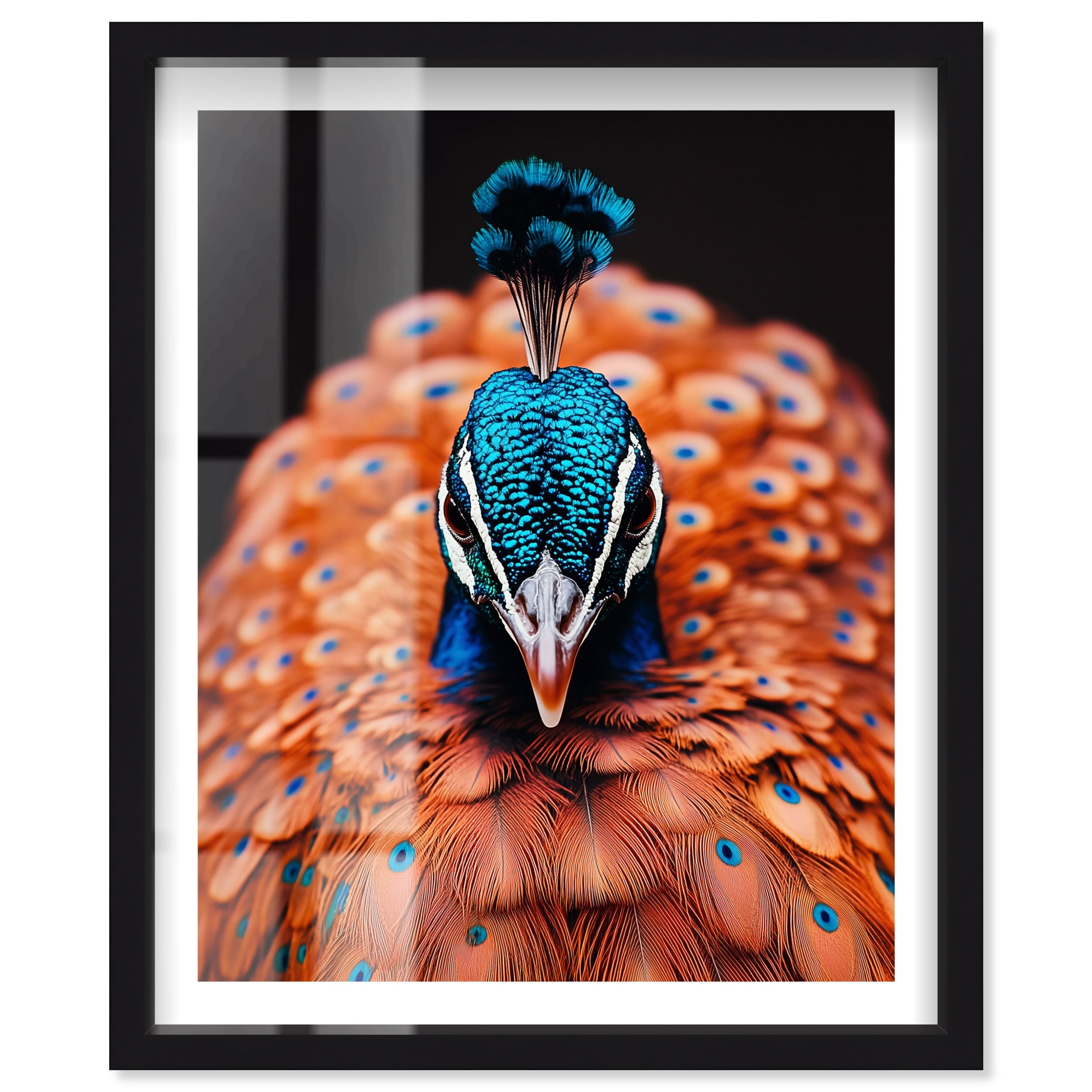Fiery Peacock II Living Room Wall Art Shadowbox Print by Notoriart