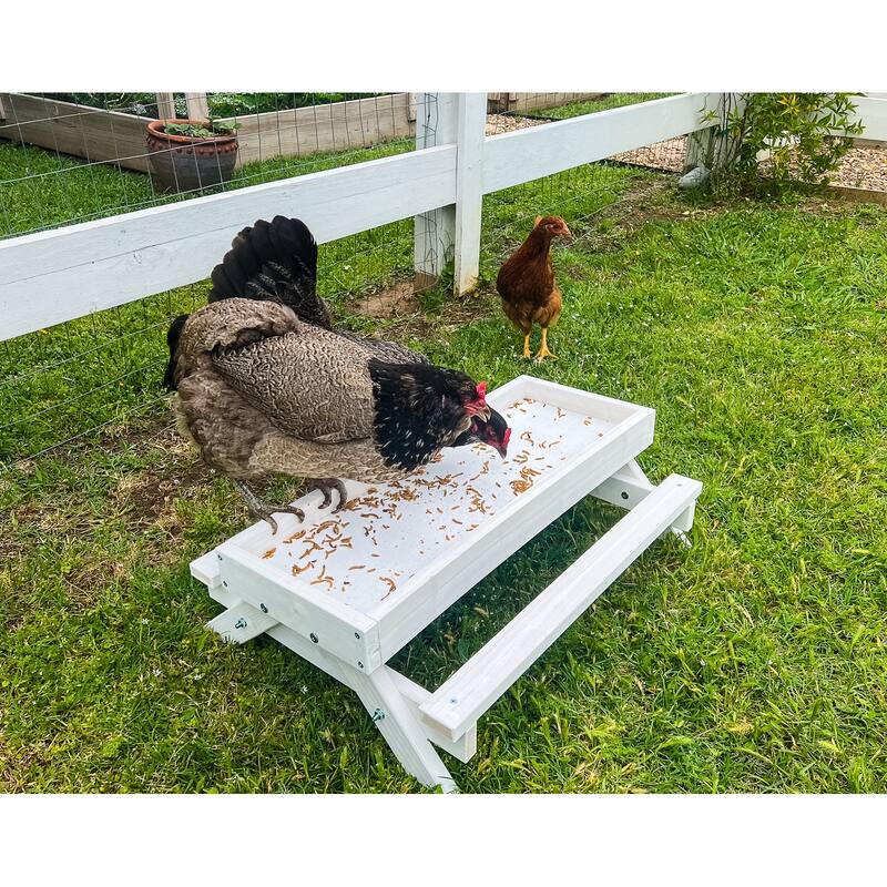 Zylina Snack-n-Feed Picnic Table - N/A - 26x17x8
